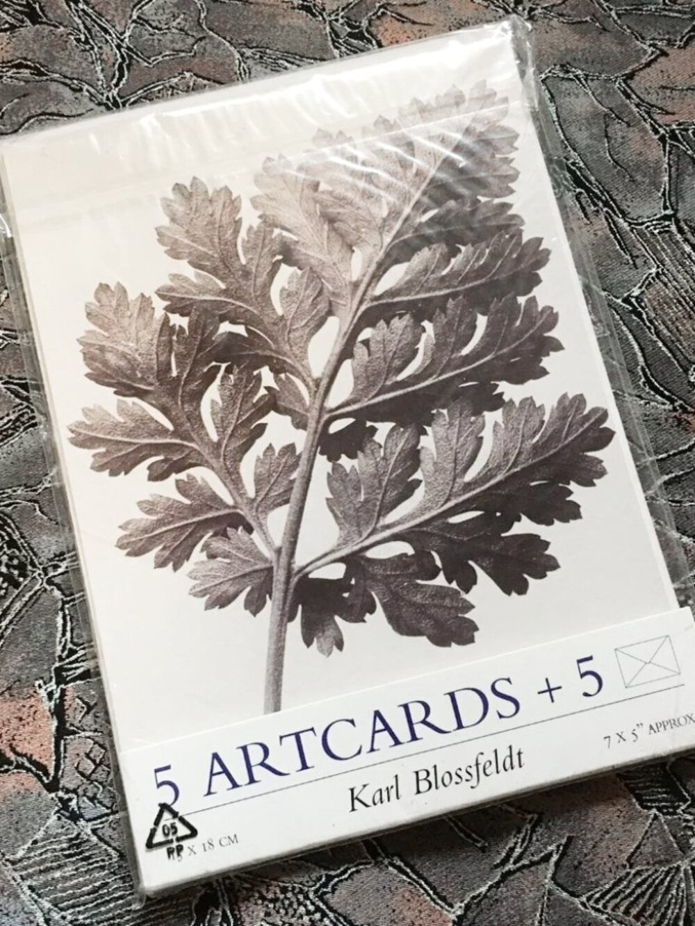 Vintage 1998 IKEA Karl Blossfeldt Art Cards Set of 5 NWT